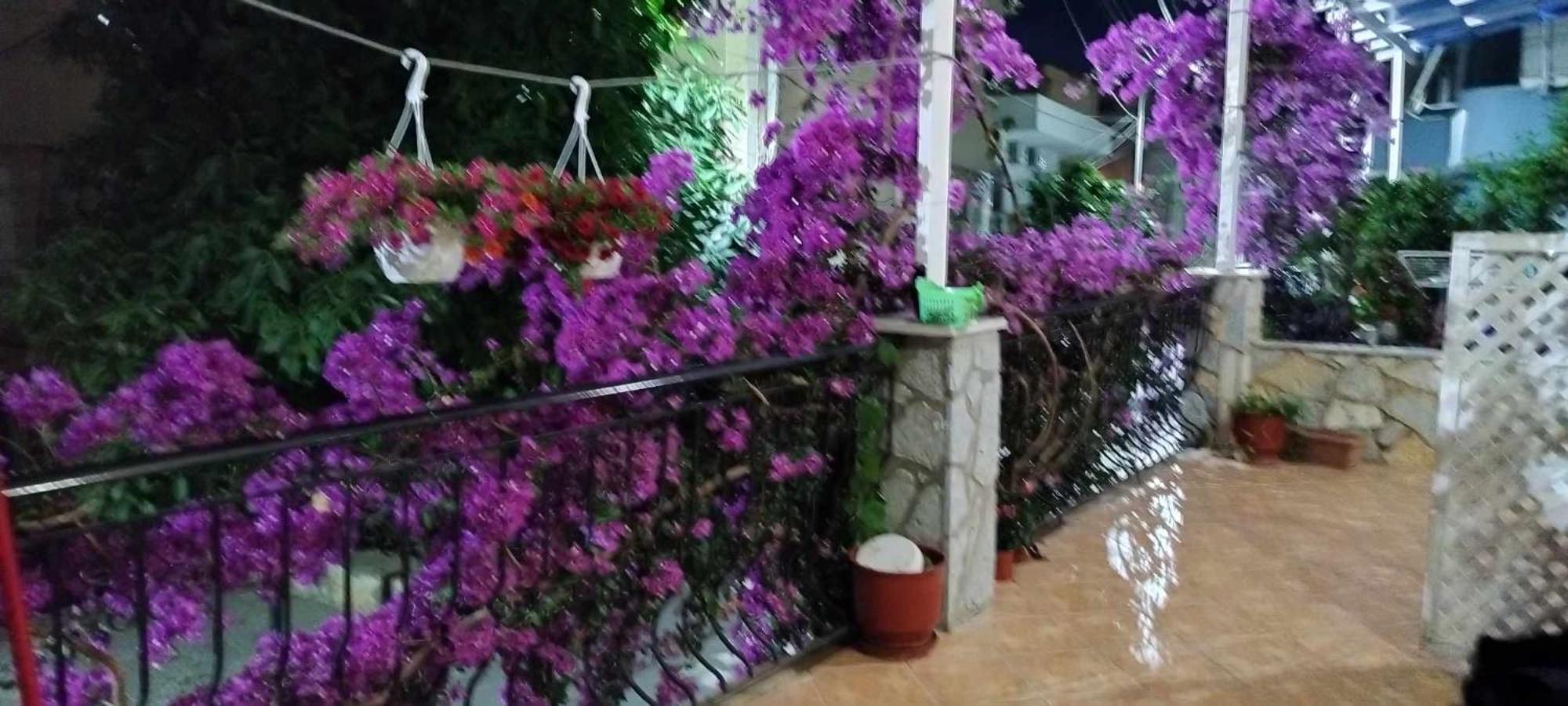 Elena Apartament Sarandë Exteriör bild